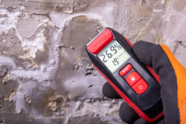 Best Office Mold Removal Services  in Merritt Island, FL